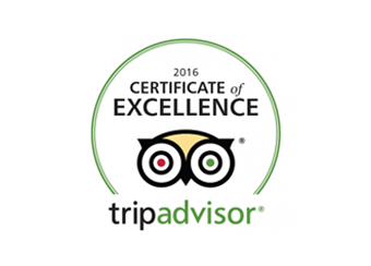 Trip advisor Logo